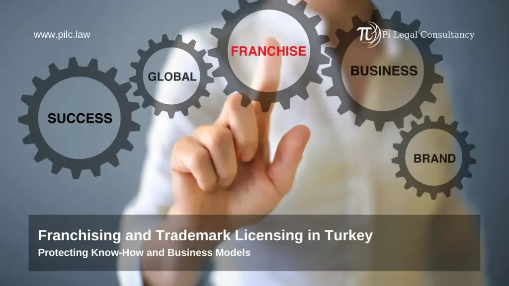 Trademark Licensing Agreement in Turkey